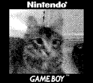 Photo of cat taken with Game Boy Camera